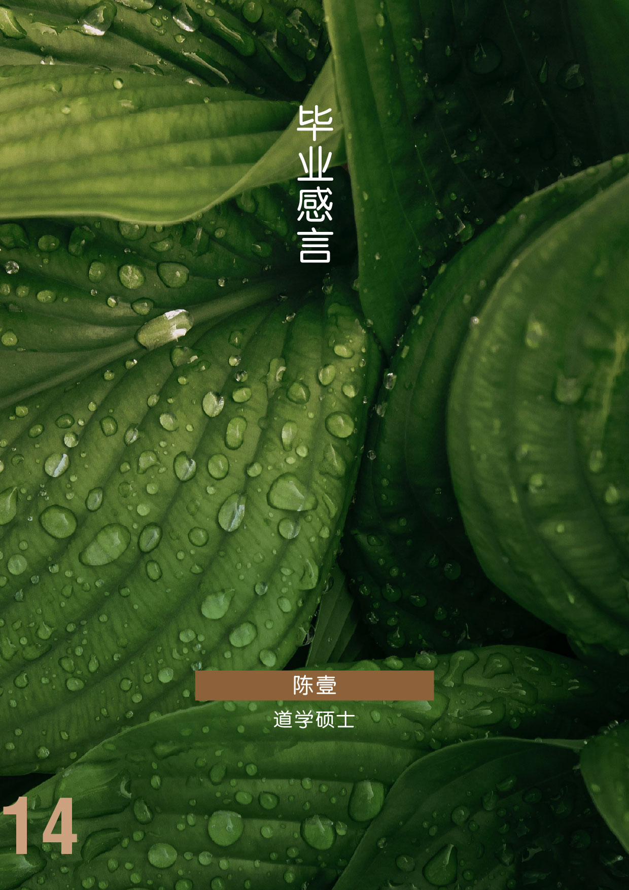 <?php echo esc_html($alt); ?>